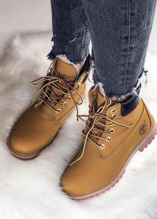 Жіночі черевики timberland 3