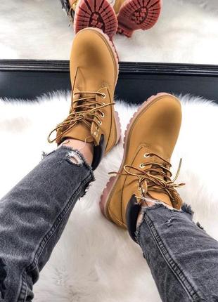 Жіночі черевики timberland 2