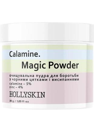Очищувальна пудра для боротьби з чорними цятками і висипаннями hollyskin calamine. magic powder 30 г