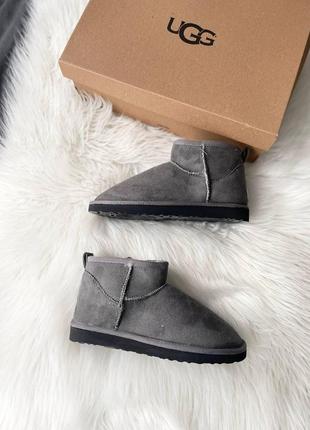 Женские ботинки ugg ultra mini vegan grey сапоги, угги зимние2 фото