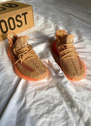 Чоловічі та жіночі кросівки  adidas yeezy boost 350 v2 clay