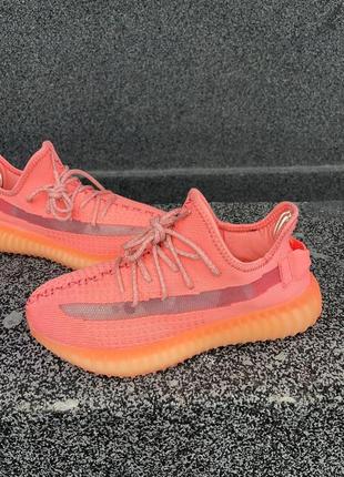 Женские кроссовки  adidas yeezy boost 350 v2 coral