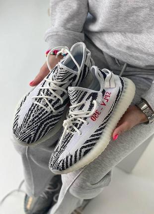 Женские кроссовки  adidas yeezy boost 350 v2 zebra 2