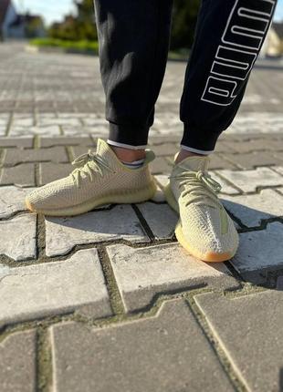 Мужские / женские кроссовки  adidas yeezy boost 350 v2 antila 2 (рефлективные шнурки)8 фото