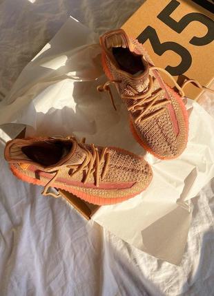 Мужские / женские кроссовки  adidas yeezy boost 350 v2 clay1 фото