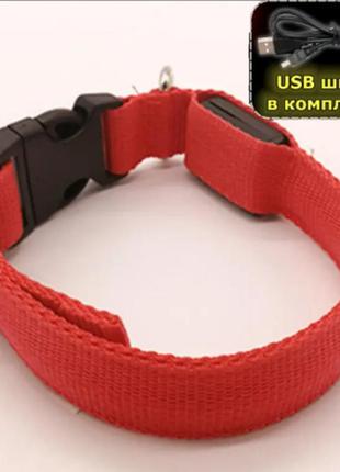 Светящийся ошейник для собак, ошейник для кошек, для вечерних прогулок с usb зарядкой красный l(36-57см)3 фото