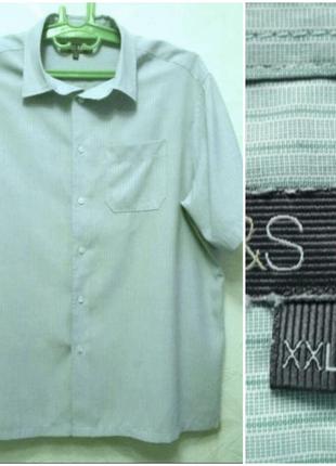 Теніска, 56-58, модал (натуральна віскоза), гіпоалергенний поліестер, marks&spencer