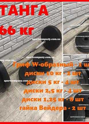 Штанга w-подібна в наборі 66 кг розбірна для дому композитна домашня спортивна набірна