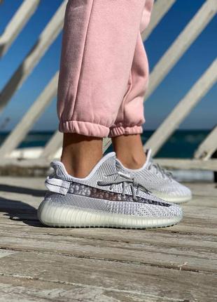Женские кроссовки  adidas pupos adidas adi nova blue color code html grey dior 2 (рефлективні шнурки)
