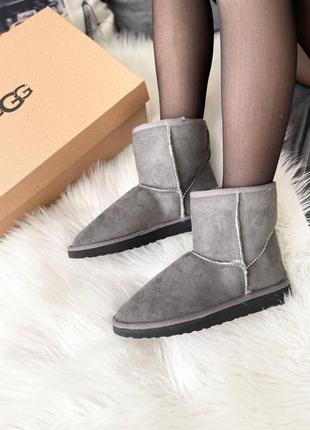 Женские ботинки ugg vegan grey сапоги, угги зимние7 фото