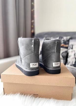 Женские ботинки ugg vegan grey сапоги, угги зимние6 фото