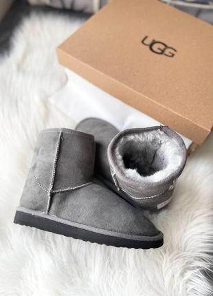 Женские ботинки ugg vegan grey сапоги, угги зимние9 фото