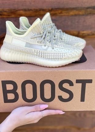 Жіночі кросівки  adidas yeezy boost 350 antila 36