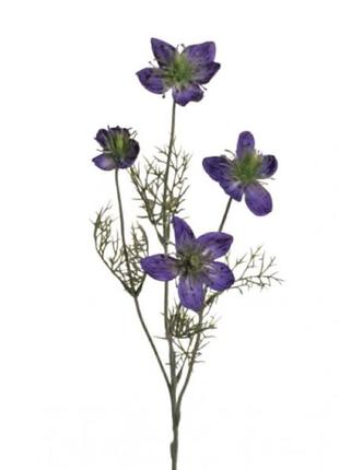 Цветок нигелла темно-сиреневый 55 см