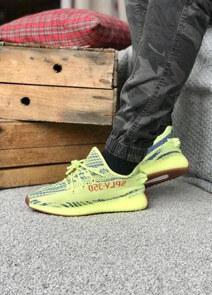 Мужские кроссовки  adidas yeezy boost 350 v2 yellow zebra