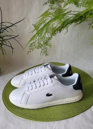 Кросівки шкіряні оригінал lacoste graduate рр.35.5,38