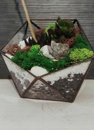 Флорариум "икосаэдр" 2