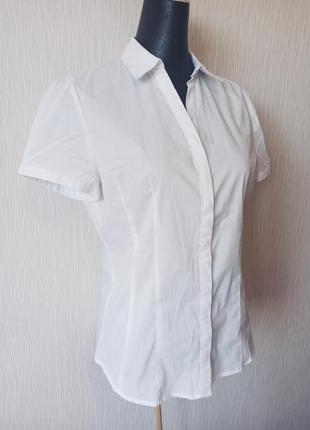 Качественная классическая женская рубашка блуза блузка