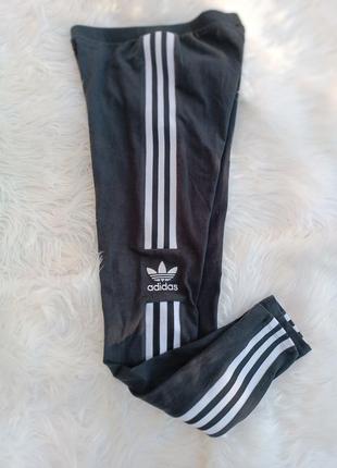 Лосины adidas2 фото