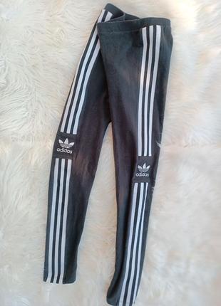 Лосины adidas4 фото