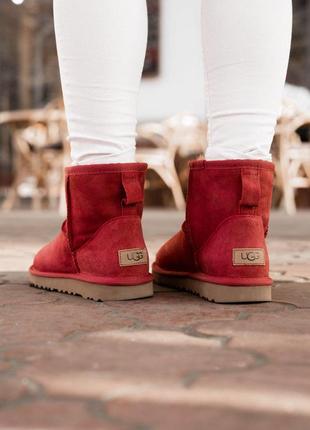 Женские сапоги ugg classic ii mini в красном цвете /осень/зима/весна😍3 фото