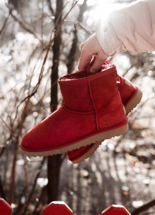 Женские сапоги ugg classic ii mini в красном цвете /осень/зима/весна😍7 фото