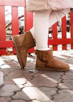 Красивые женские сапожки ugg classic mini с натуральным мехом /осень/зима/весна😍