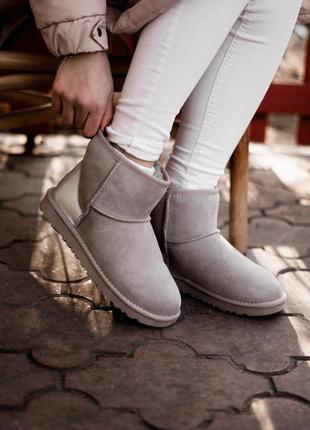 Стильні жіночі чобітки ugg mini goat ash /осінь/зима/весна😍4 фото