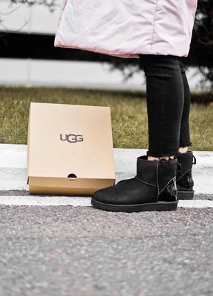 Стильные сапоги ugg classic mini black metallic с натур. мехом8 фото