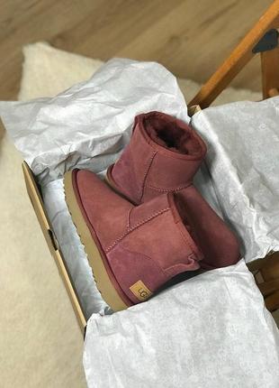 Женские ботинки ugg classic mini  сапоги, угги зимние7 фото