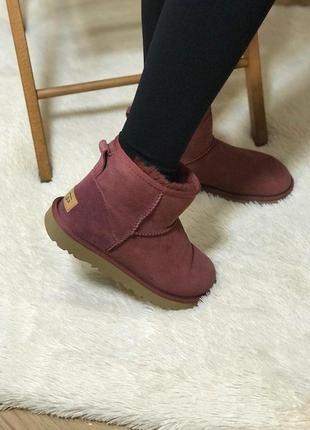 Женские ботинки ugg classic mini  сапоги, угги зимние6 фото