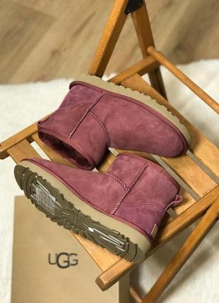 Женские ботинки ugg classic mini  сапоги, угги зимние8 фото
