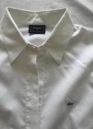 Рубашка lacoste размер 38 fr 4