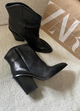 Козаки zara