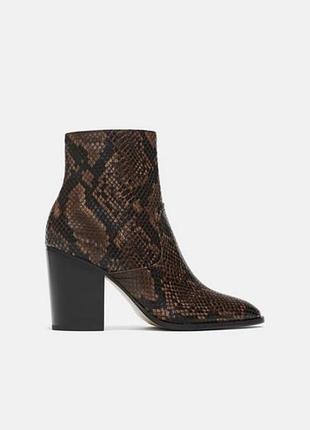 Ковбойские ботинки zara в змеином принте. тренд 2020 цена сайта 2299, новая коллекция