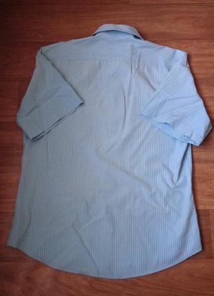 Рубашка голубая в полоску с коротким рукавом omans2 фото