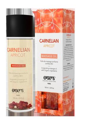 Масажна олія exsens carnelian apricot (бадьорить з сердоліком) 100мл, натуральна