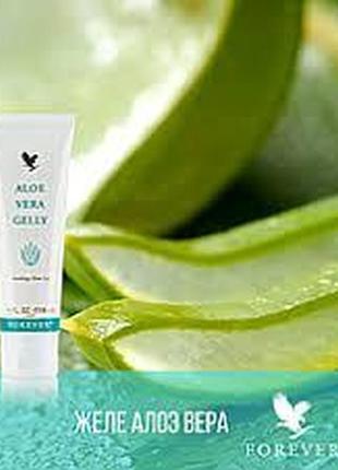 Желе алоэ вера/aloe vera gelly1 фото