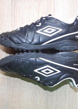 Бутсы сороконожки многошиповки umbro speciali 4 club tf4 фото