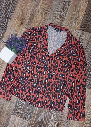 Актуальна блуза