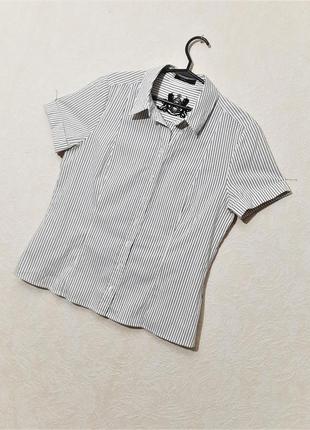 Zero германия рубашка в полоску белая-чёрная короткие рукава с манжетами женская летняя2 фото