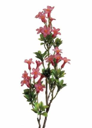 Цветок альпийский розовый мал. 39 см.