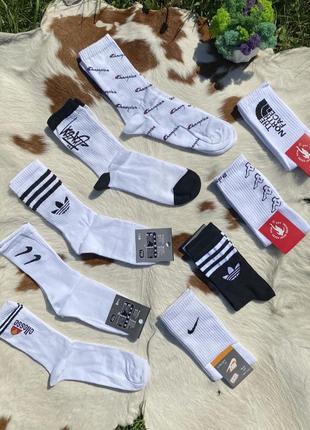 Высокие брендовые носки(ellesse, champion, stussy, nike, adidas, kappa, tnf), носки найк, стуси, каппа(купить)