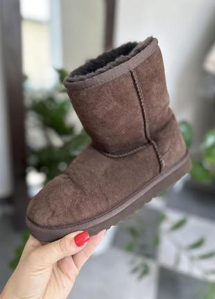 Зимние сапоги, угги оригинал ugg
