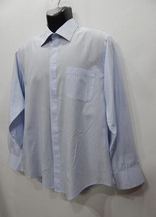 Мужская рубашка с длинным рукавом damante р.50 015др (только в указанном размере, только 1 шт)4 фото