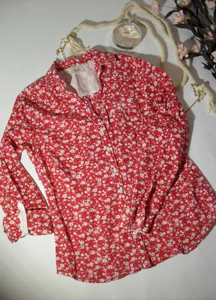 Красная рубашка котон bonprix-36р1 фото