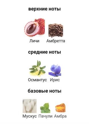 Растение8 фото