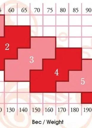 Колготки conte solo 40 den2 фото