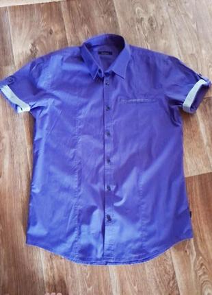 Чоловіча сорочка фіолетового кольору,