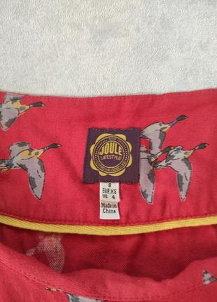 Платье мини туника принт утки вискоза